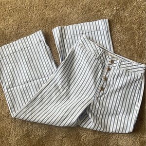 Madewell Emmett Wide-Leg Crop Pants in Stripe: Button-Front Edition